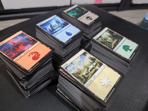 100 basic land lot - basic,