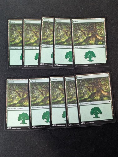 10x basic land lots same - basic,