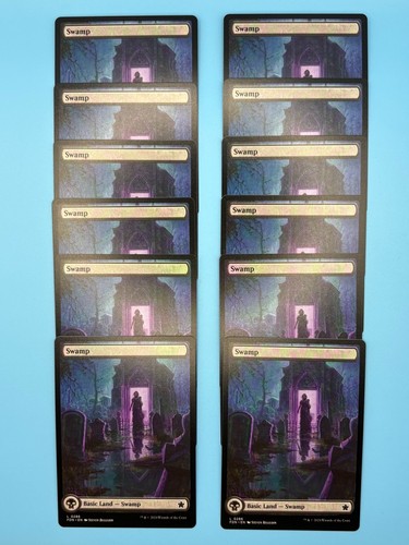 X12 swamp 0286 - 0286, full